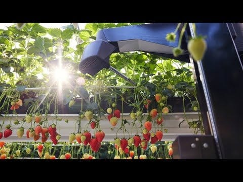 Let's be honest about vertical farming