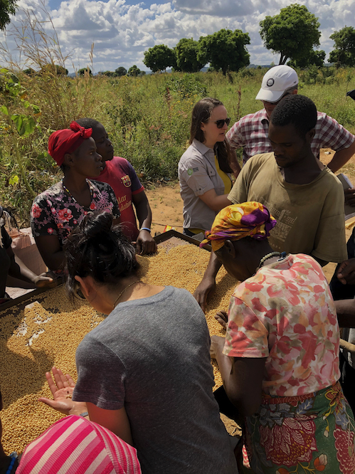 Kellan Hays: Innovative agri-financing models in Zambia