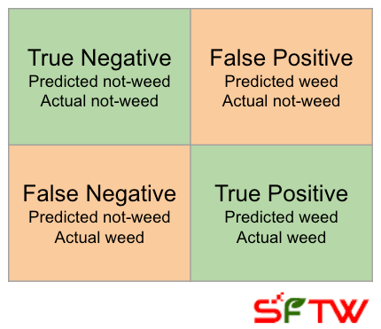 Footnotes are where the fun is