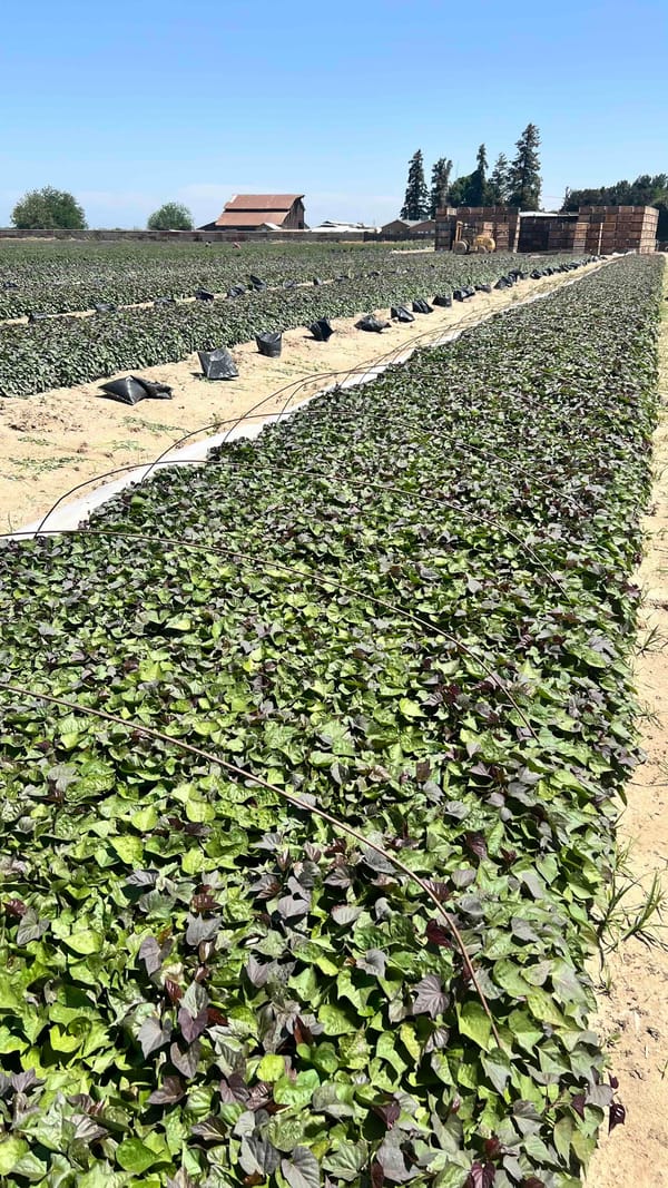 Labor or cost or productivity?