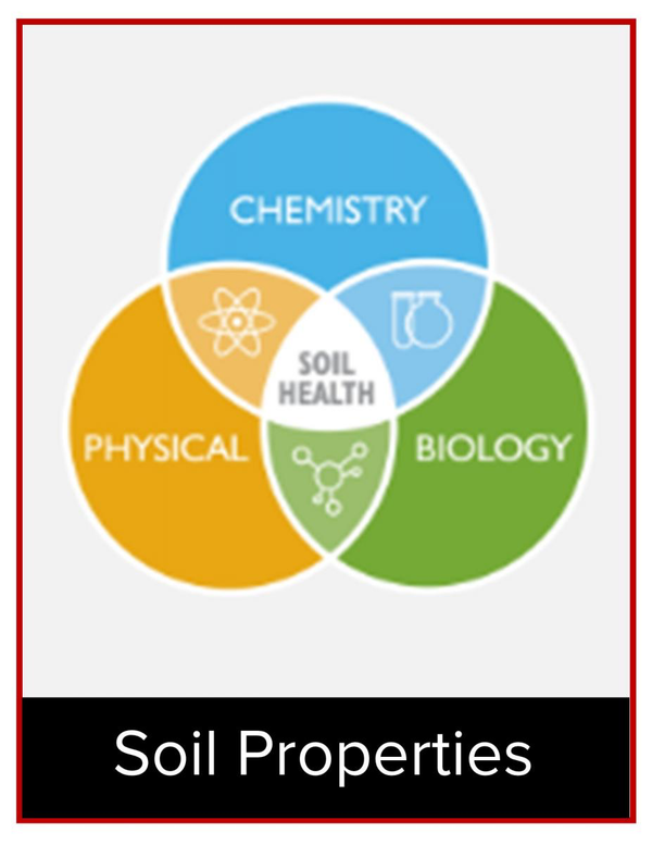 The Vital Signs of Soil: How We Measure Soil Health