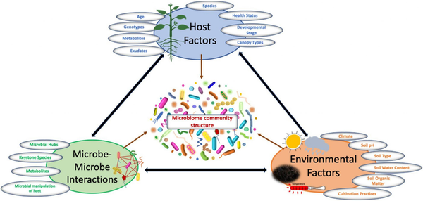 Farming the Microbiome: How Soil Management Shapes Life Underground