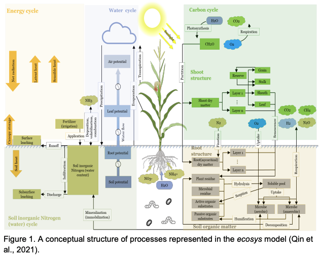 No model to rule them all