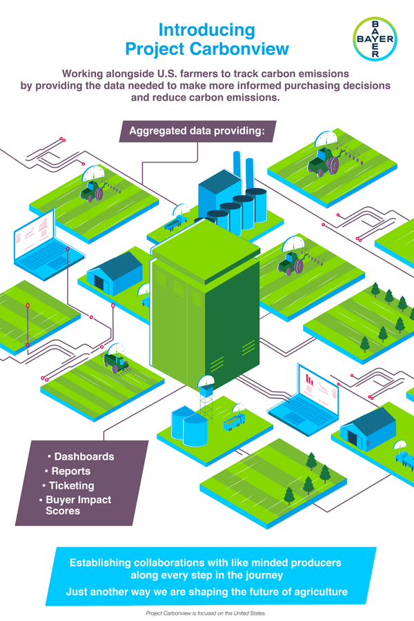 David Ricardo, and comparative advantage